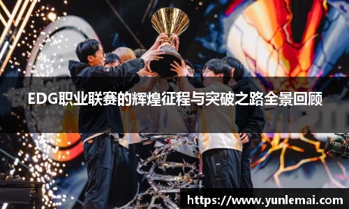 EDG职业联赛的辉煌征程与突破之路全景回顾